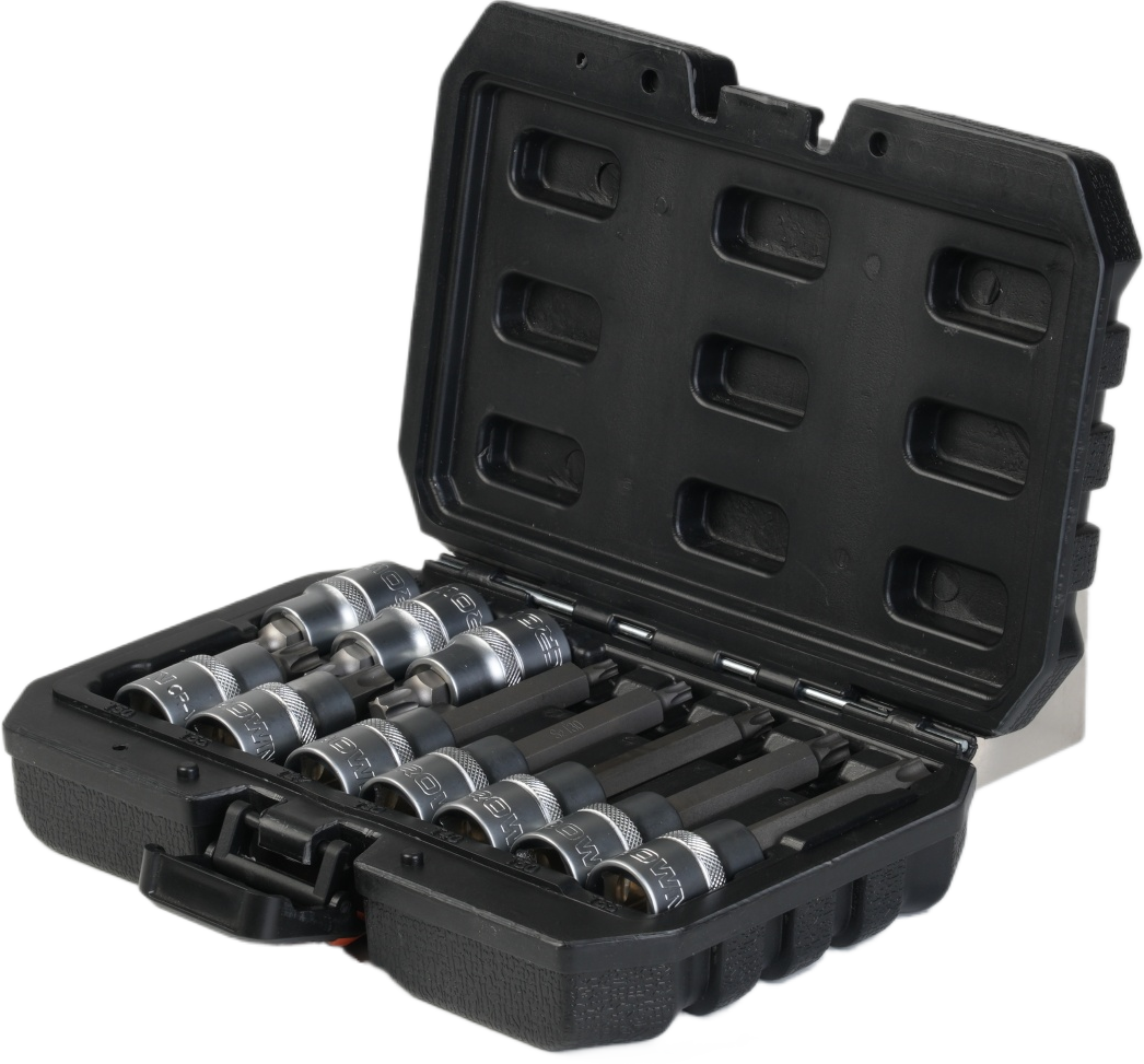 Набір біт-головок Torx 1/2" CROWN CPHSW-BTXA10, 10 шт.